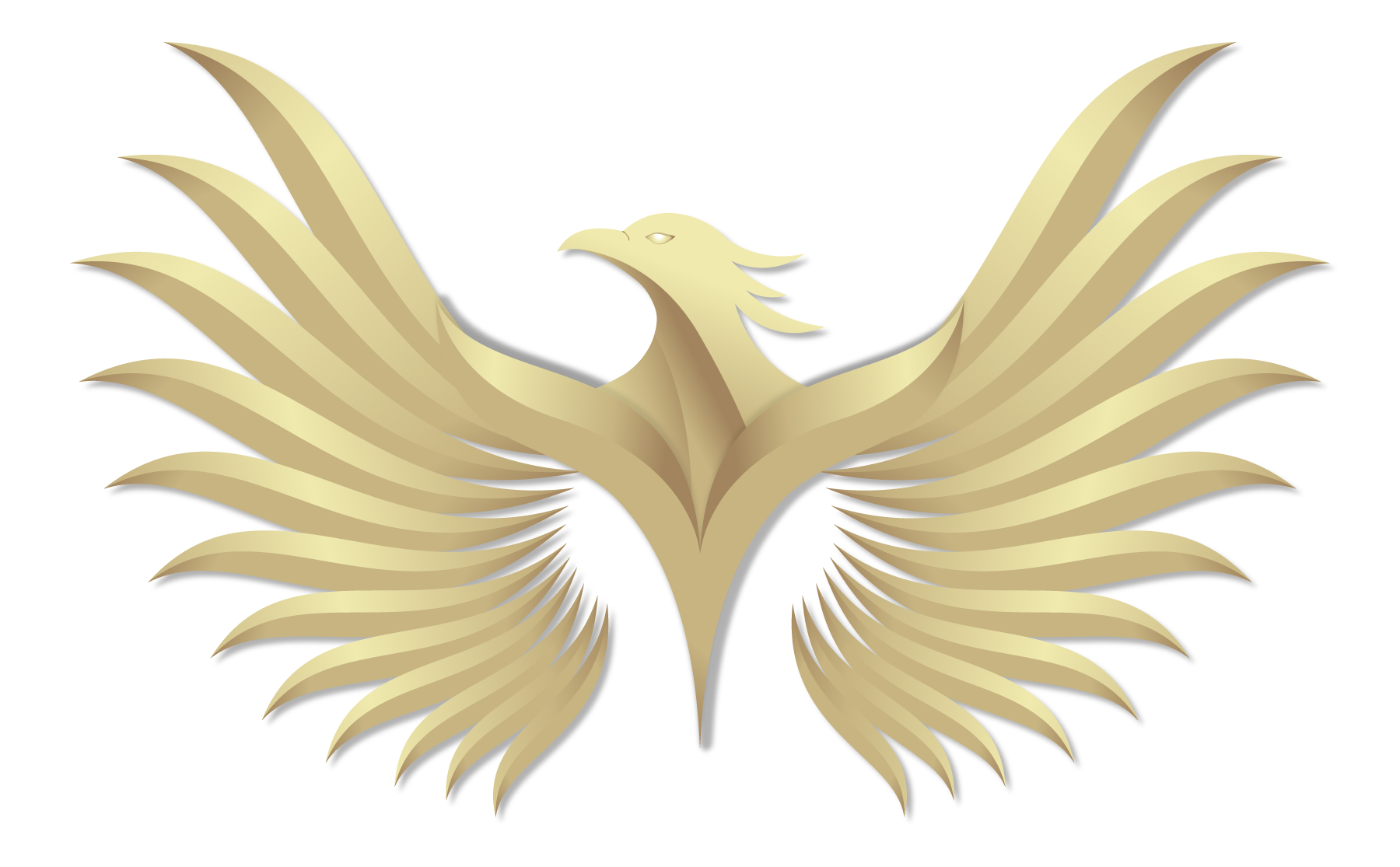 Caierfu Logo